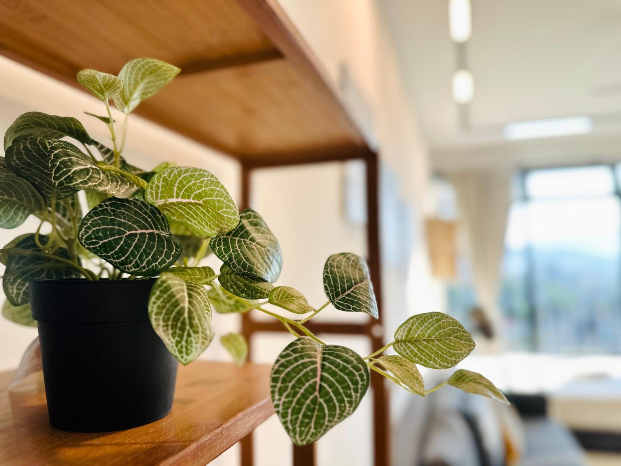 New Georgetown Instagramable 2Br Homestay For 10Pax 无敌美景两房民宿 Beacon Executive Suite Eksteriør bilde